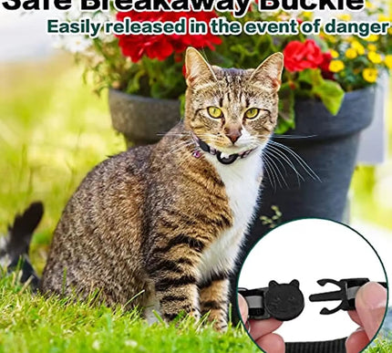 Collection image for: Animals & Pet Supplies