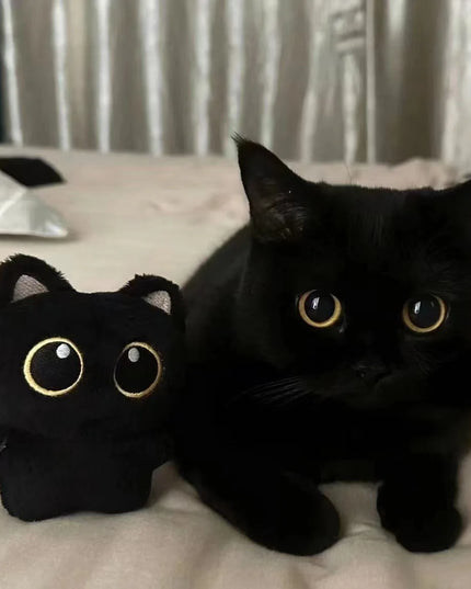 10cm Cute Black Cat plush toy Doll Small Pendant Cuddly Pillow Cushion Ins Black Cat Plush Toy Doll for Boy Girl Brithday Gifts