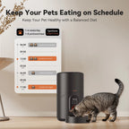 Automatic Dog Feeders, Pet Feeder, Cat Food Dispenser with Stainless Steel Bowl, 4L, Black